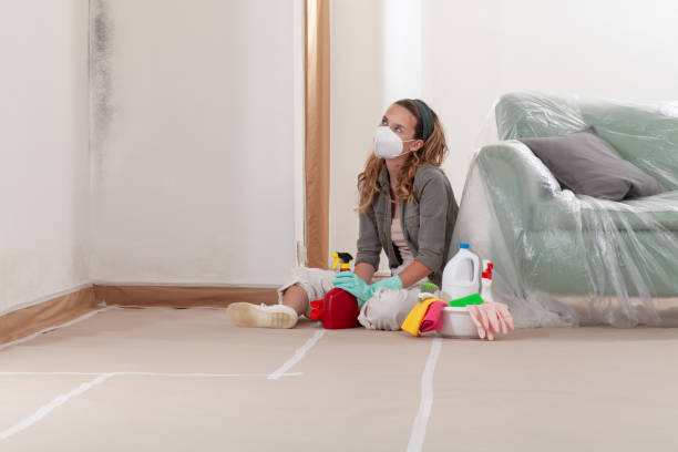 Reliable Mold Remediation contractor in Clear Brook, VA by WQB Mold Removal